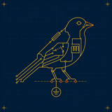 Canary E-cad